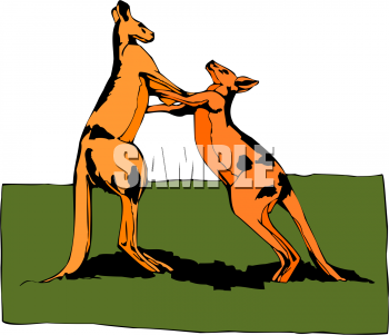 Kangaroo Clipart