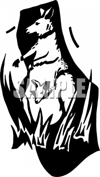 Marsupial Clipart