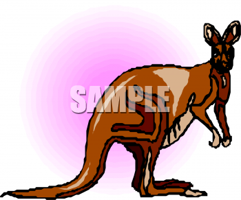 Kangaroo Clipart