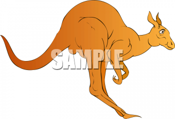 Kangaroo Clipart