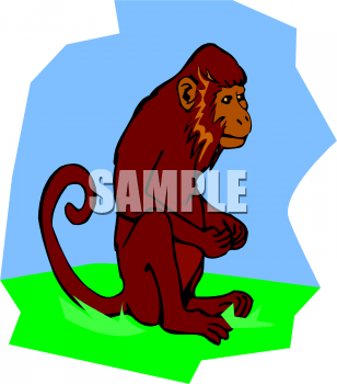 Monkey Clipart