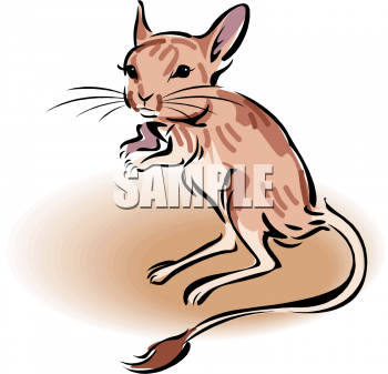 Mouse Clipart