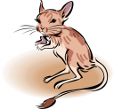 Mouse Clipart