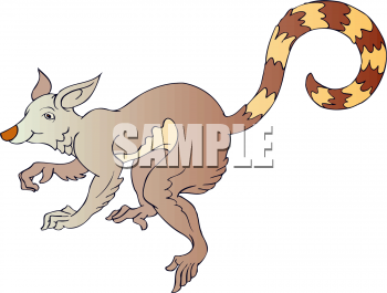 Kangaroo Clipart