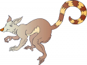 Kangaroo Clipart