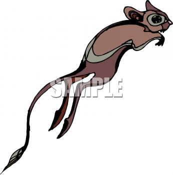 Kangaroo Clipart