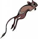 Kangaroo Clipart