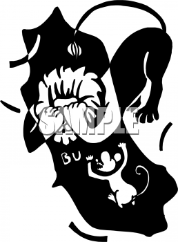 Lion Clipart