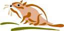 Mouse Clipart