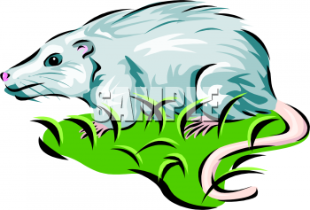 Mouse Clipart