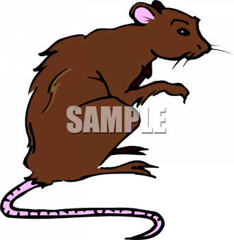 Mouse Clipart