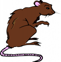 Mouse Clipart