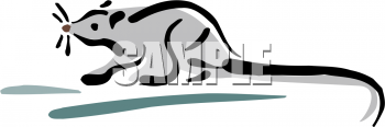 Mouse Clipart