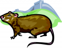 Mouse Clipart