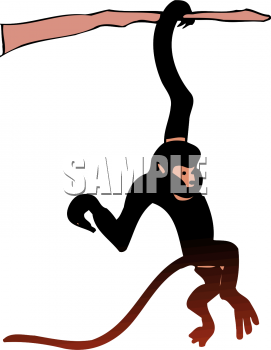 Monkey Clipart