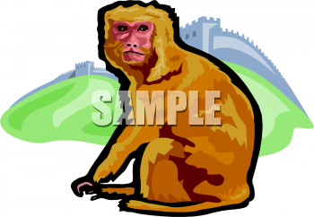 Monkey Clipart