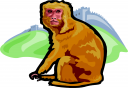 Monkey Clipart