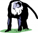 Monkey Clipart