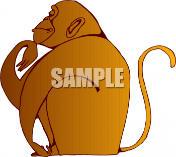 Monkey Clipart