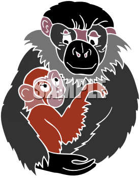 Monkey Clipart