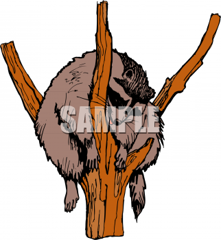Monkey Clipart