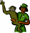 Monkey Clipart