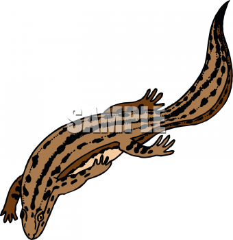 Gecko Clipart