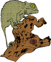 Reptile Clipart