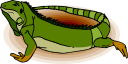 Iguana Clipart