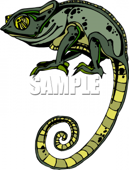 Lizard Clipart
