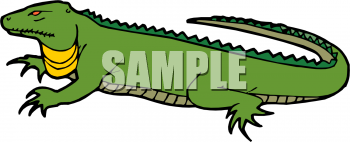 Iguana Clipart