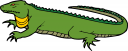 Iguana Clipart