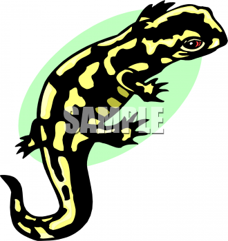 Reptile Clipart