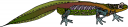 Reptile Clipart