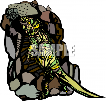 Iguana Clipart