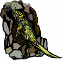 Iguana Clipart