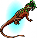 Lizard Clipart