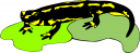 Lizard Clipart