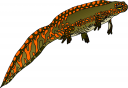 Reptile Clipart