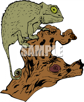 Iguana Clipart