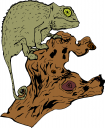 Iguana Clipart