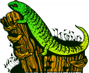 Iguana Clipart