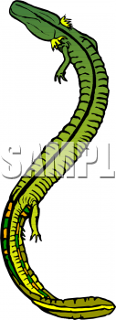 Reptile Clipart