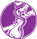 Salamander Clipart