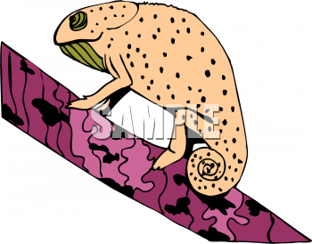 Reptile Clipart