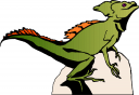 Iguana Clipart