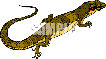 Lizard Clipart