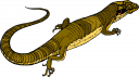 Lizard Clipart