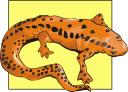 Lizard Clipart