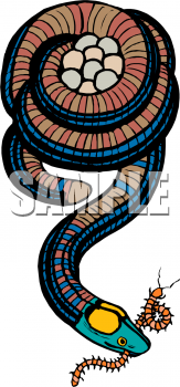 Worm Clipart